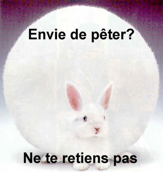 http://lewebquiestdrole1.free.fr/animaux/Lapin_(Envie%20de%20p_1ter__4).jpg